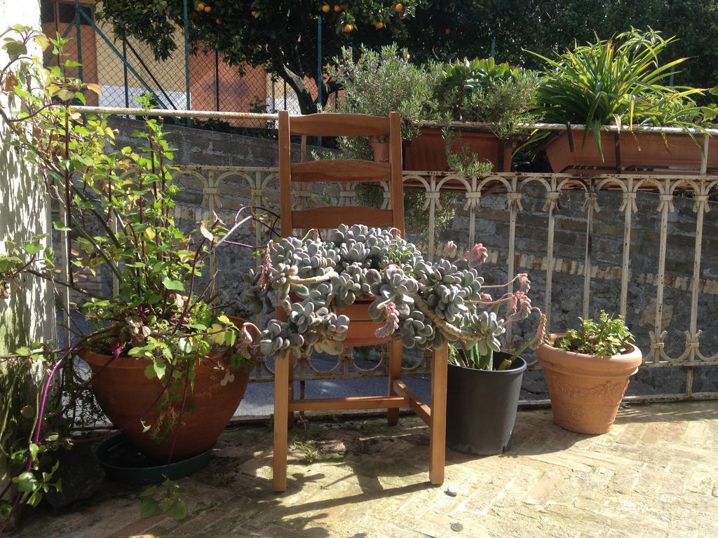 Guest House Trevignano Romano Luaran gambar